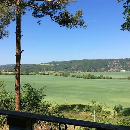 Holiday V Borovi